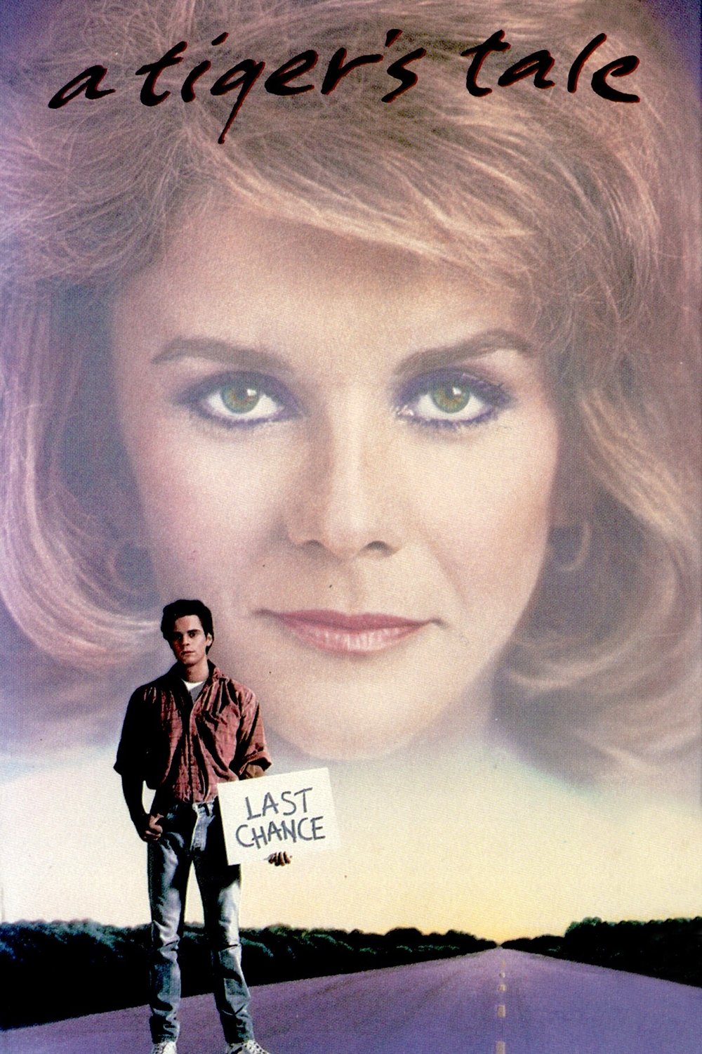 A Tiger's Tale poster