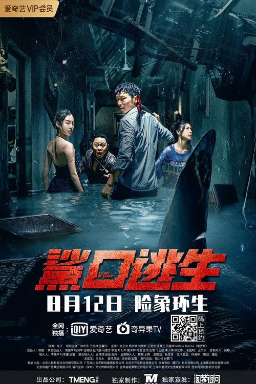 Escape of Shark poster