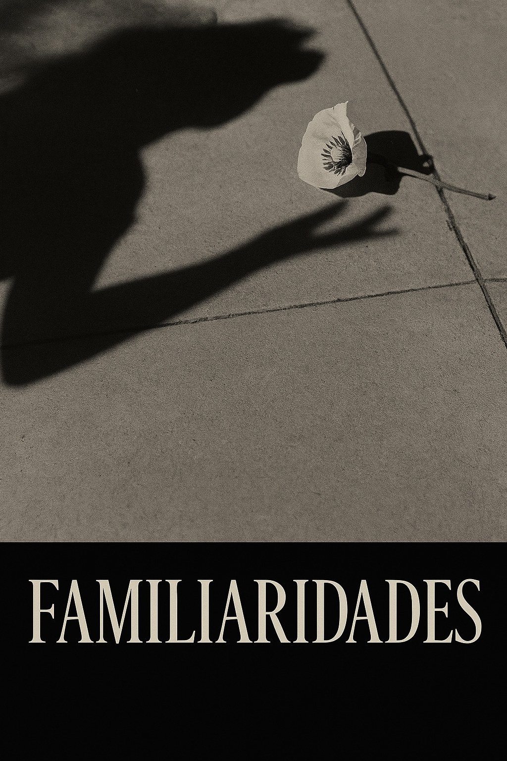 Familiarities poster