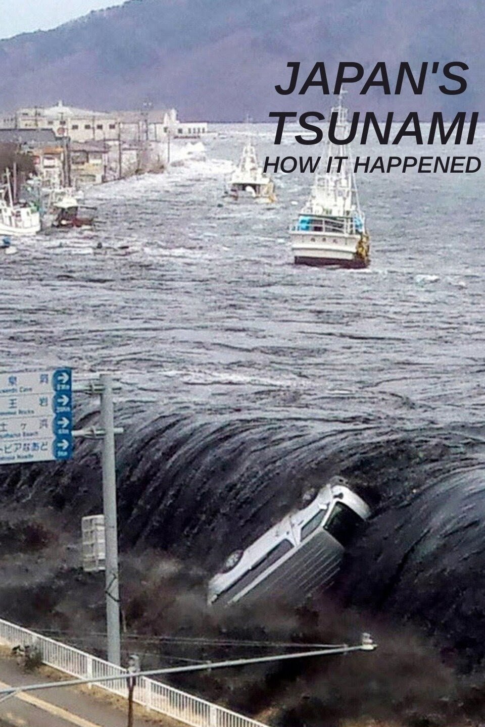 Movie poster Japan's Tsunami: How It Happened