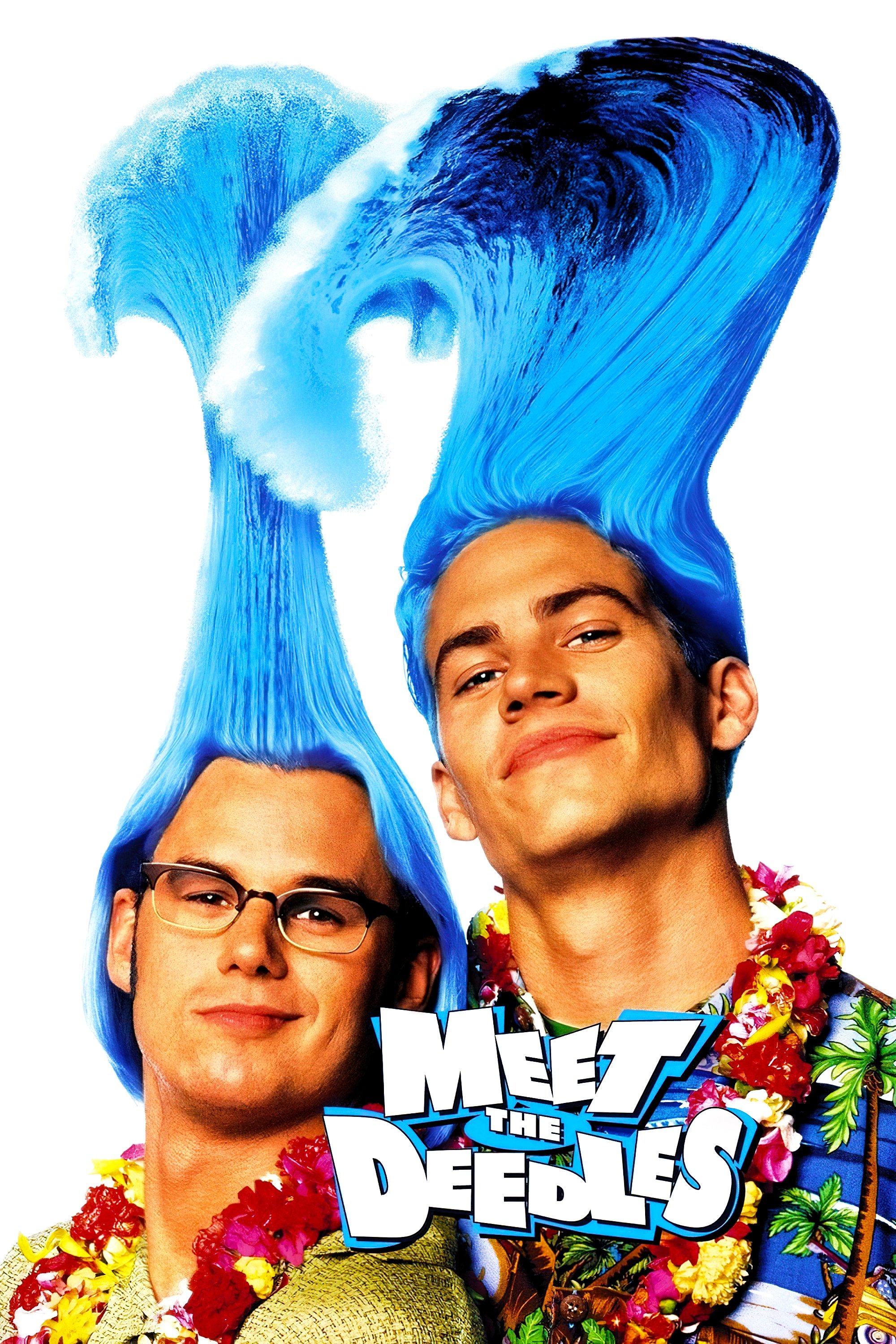 Meet the Deedles poster