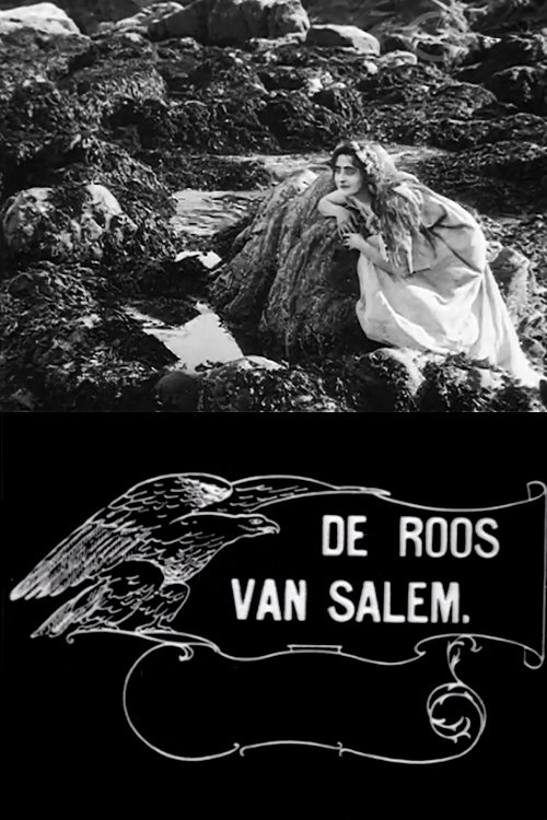 Rose o' Salem Town poster