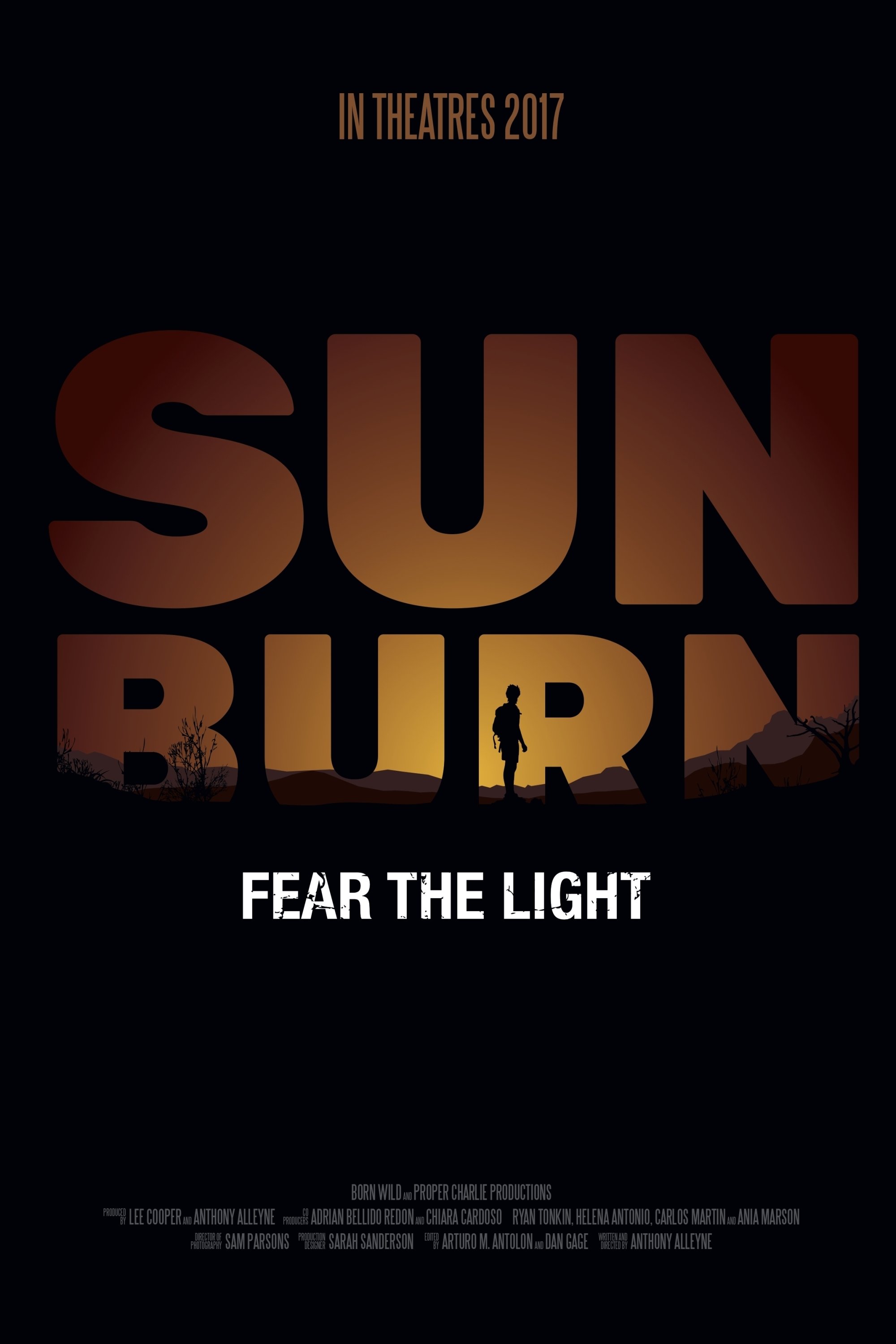 Sunburn poster